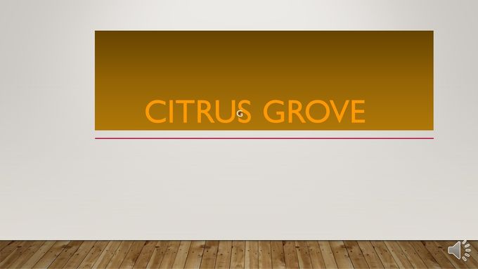 GALLERY #3/CITRUS GROVE ©2012-MWphotography/SOLOMAN'S SONG ART & GIFT SHOP/WWW.GYPSYQUILL.COM. ALL RIGHTS RESERVED!Art prints and/or, posters are available in the gift shop. Soon to be more available soon... in the online store!

