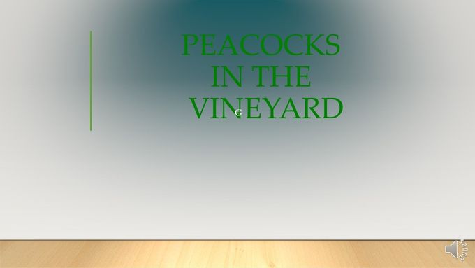 GALLERY #4/ PEACOCKS IN THE VINEYARD ©2012-MWphotography/SOLOMAN'S SONG ART & GIFT SHOP/WWW.GYPSYQUILL.COM. ALL RIGHTS RESERVED!Art prints and/or, posters are available in the gift shop. Soon to be more available soon... in the online store!